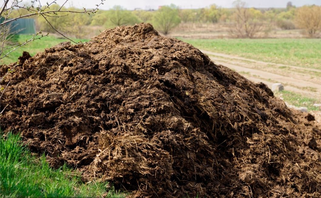 堆肥（féi）除臭劑