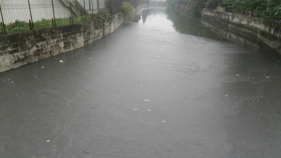 河道(dào)黑臭環境